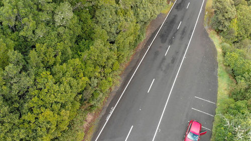 High angle view of road amidst trees in forest