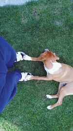 Woman standing on grass
