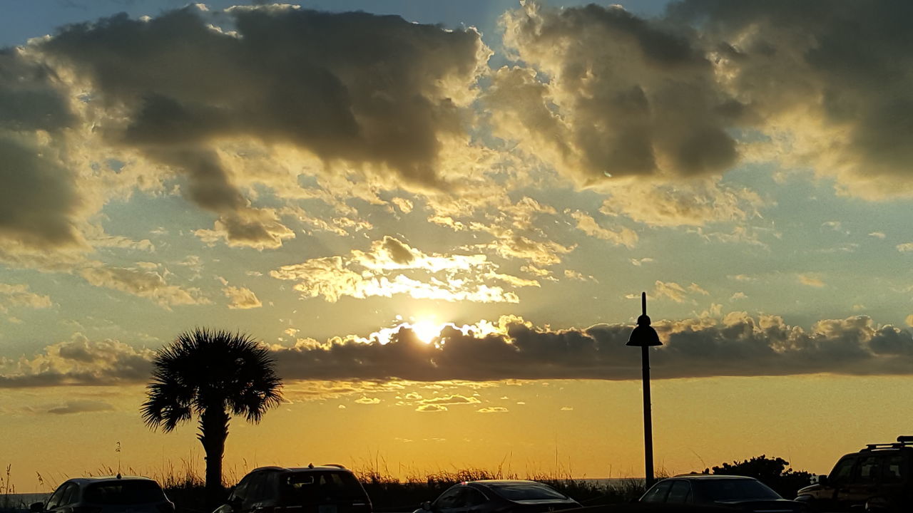 sunset, silhouette, sky, cloud - sky, no people, nature, low angle view, beauty in nature, outdoors, scenics, tree, cactus, day