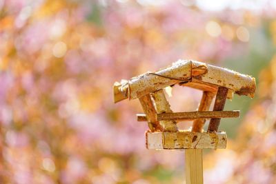 Close-up of wooden birdhouse