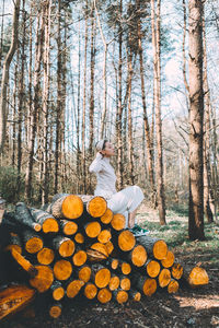 Stack of logs in forest