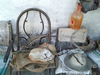 Close-up of food on table