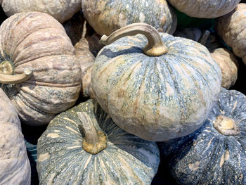 Full frame shot of pumpkins