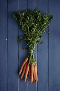 High angle view of vegetables on table