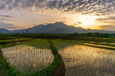 The morning shines brightly over the mountains and the rice terraces reflect the morning sky