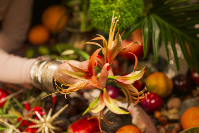 Close-up of hand holding flowers