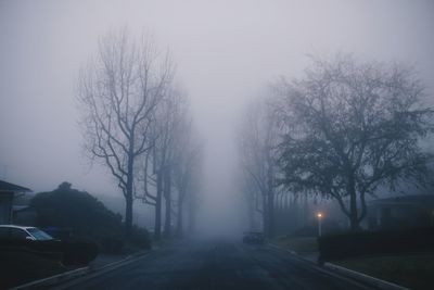 Road amidst bare trees against sky in city