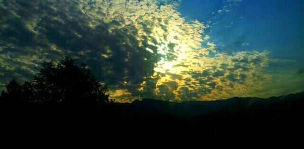 Silhouette of trees against sky during sunset