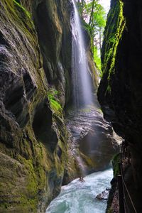View of waterfall in forest