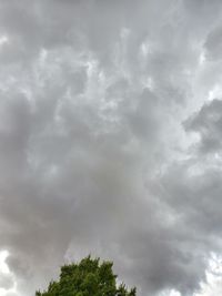 Low angle view of tree against cloudy sky