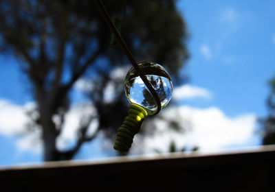 Low angle view of leaf on glass against blue sky