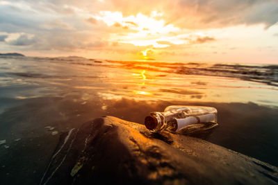 Close-up of driftwood on beach against sky during sunset