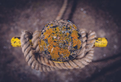 Directly above view of weathered bollard with rope