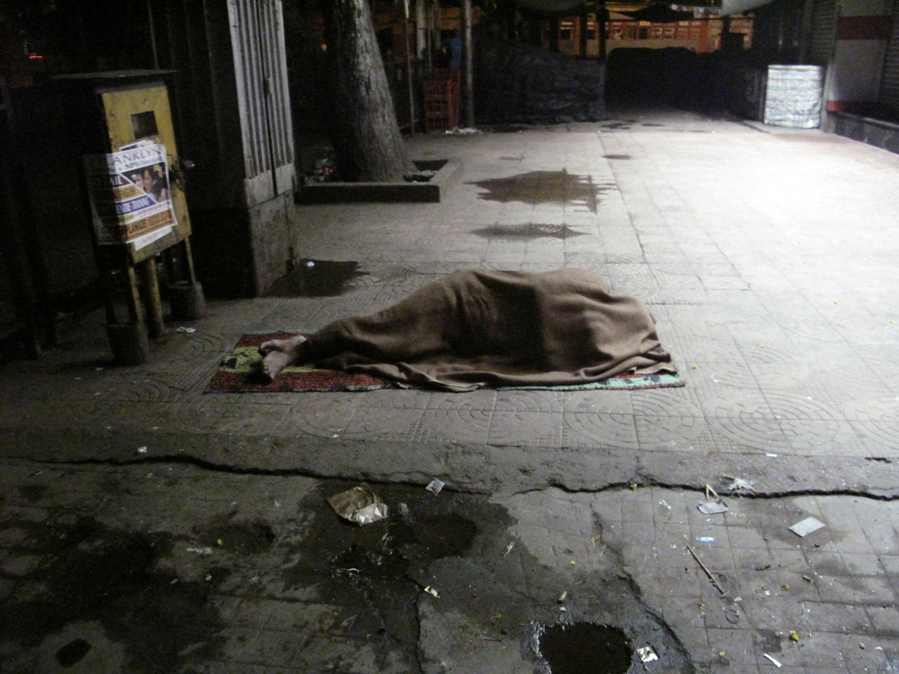 CAT SLEEPING BY STREET