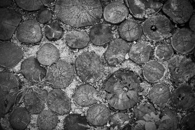 Full frame shot of cracked pattern