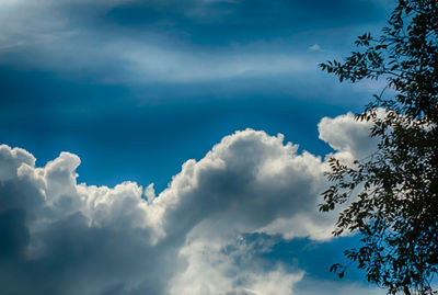 Low angle view of trees against cloudy sky