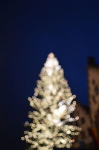 Christmas tree against sky at night