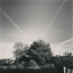 Low angle view of trees against sky