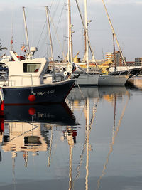 Sailboats in marina