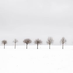 Trees on snow covered field