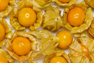 High angle view of oranges