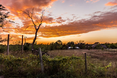 Scenic view of field against sky during sunset