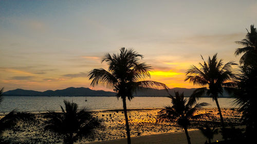 Silhouette palm trees on beach against sky during sunset