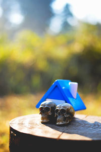 Close-up of blue cup on table