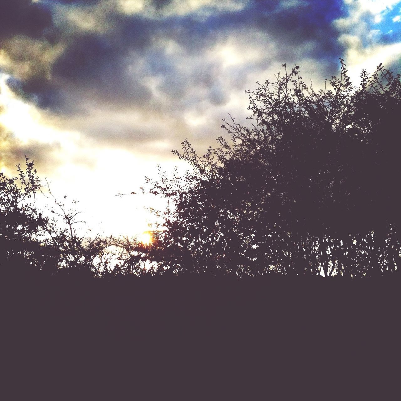 silhouette, sky, tree, cloud - sky, low angle view, bare tree, sunset, cloudy, tranquility, cloud, nature, beauty in nature, dusk, scenics, tranquil scene, branch, dark, dramatic sky, outdoors, growth