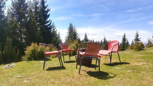 Empty chairs on field against trees