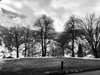 Bare trees on field against sky