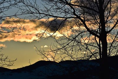 Silhouette bare tree against sky during sunset