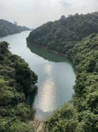 Scenic view of river amidst trees in forest against sky