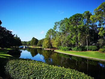 Scenic view of lake against clear blue sky