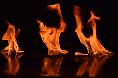 Close-up of bonfire against black background