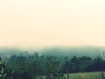 Trees on landscape against sky