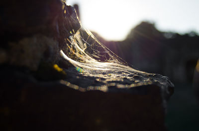 Close-up of old rock on mountain against sky