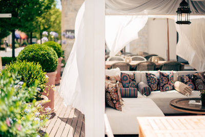 View of potted plants on table