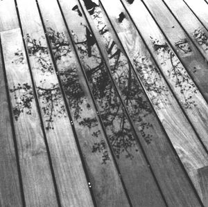 High angle view of railroad tracks