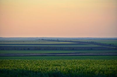 Scenic view of field against sky during sunset