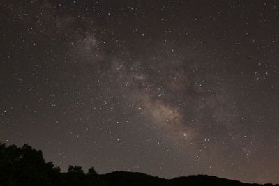 Low angle view of starry sky