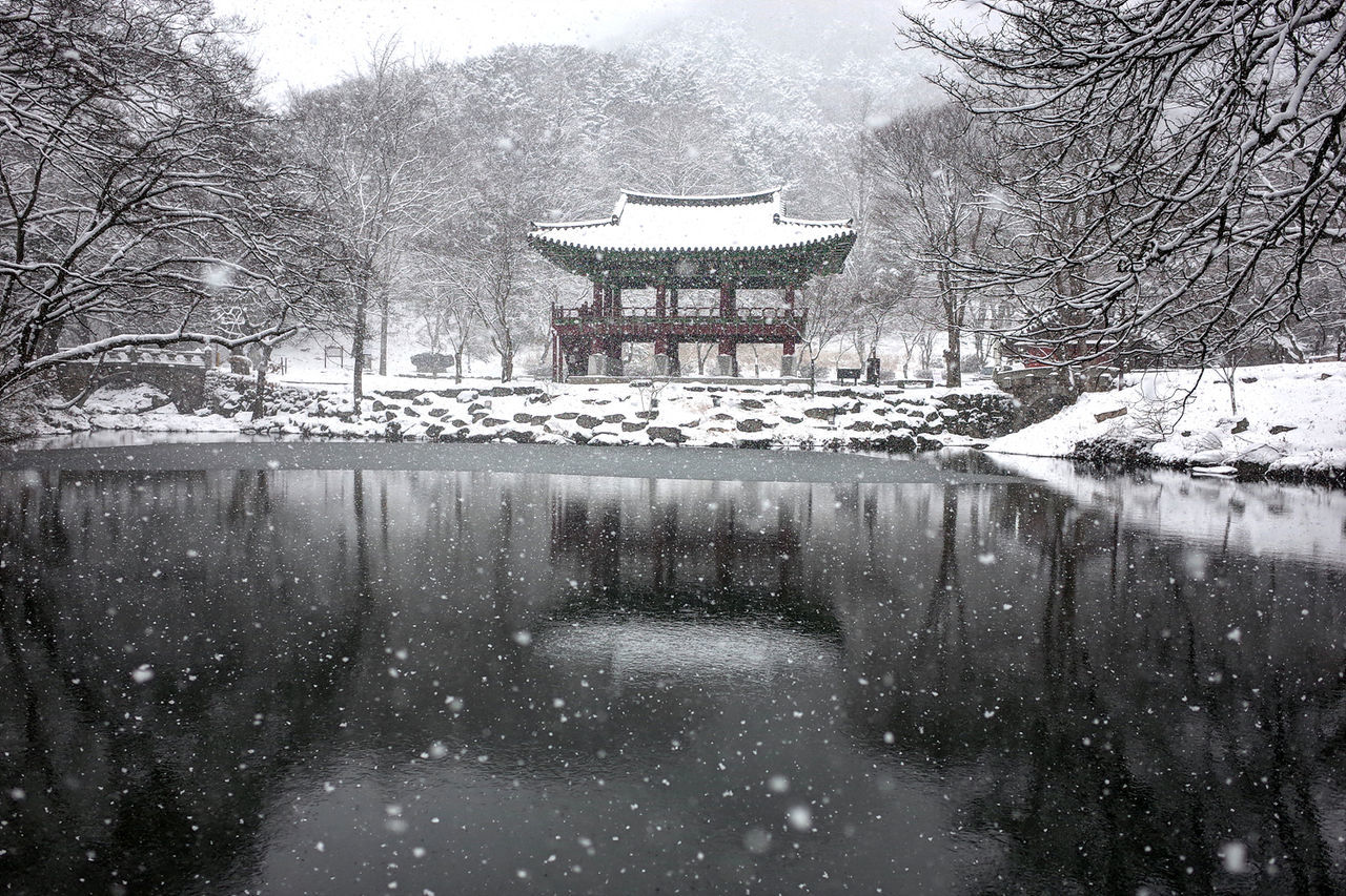 winter, snow, cold temperature, tree, bare tree, weather, built structure, nature, gazebo, architecture, day, outdoors, water, building exterior, beauty in nature, snowing, no people, sky