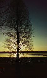 Bare trees against sky at sunset