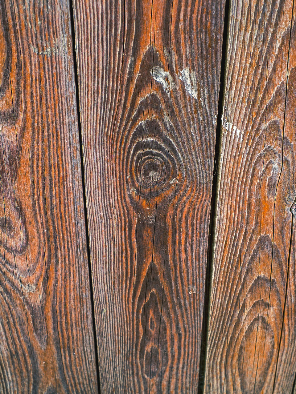 FULL FRAME SHOT OF TREE STUMP