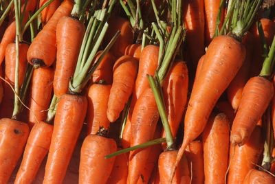 High angle view of vegetables for sale at market stall