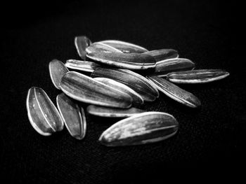 Close-up of sweet food against black background