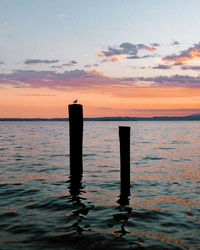 Wooden posts in sea against sky during sunset