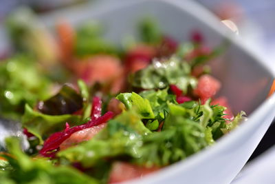 Close-up of served fruit salad in bowl