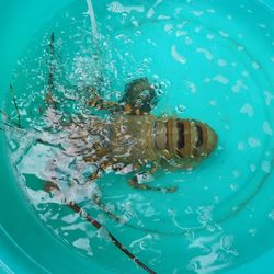 Close-up of blue background