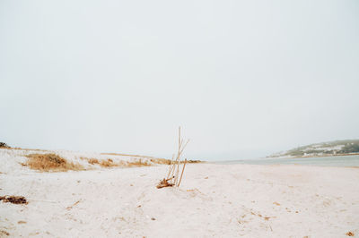 Scenic view of beach against clear sky